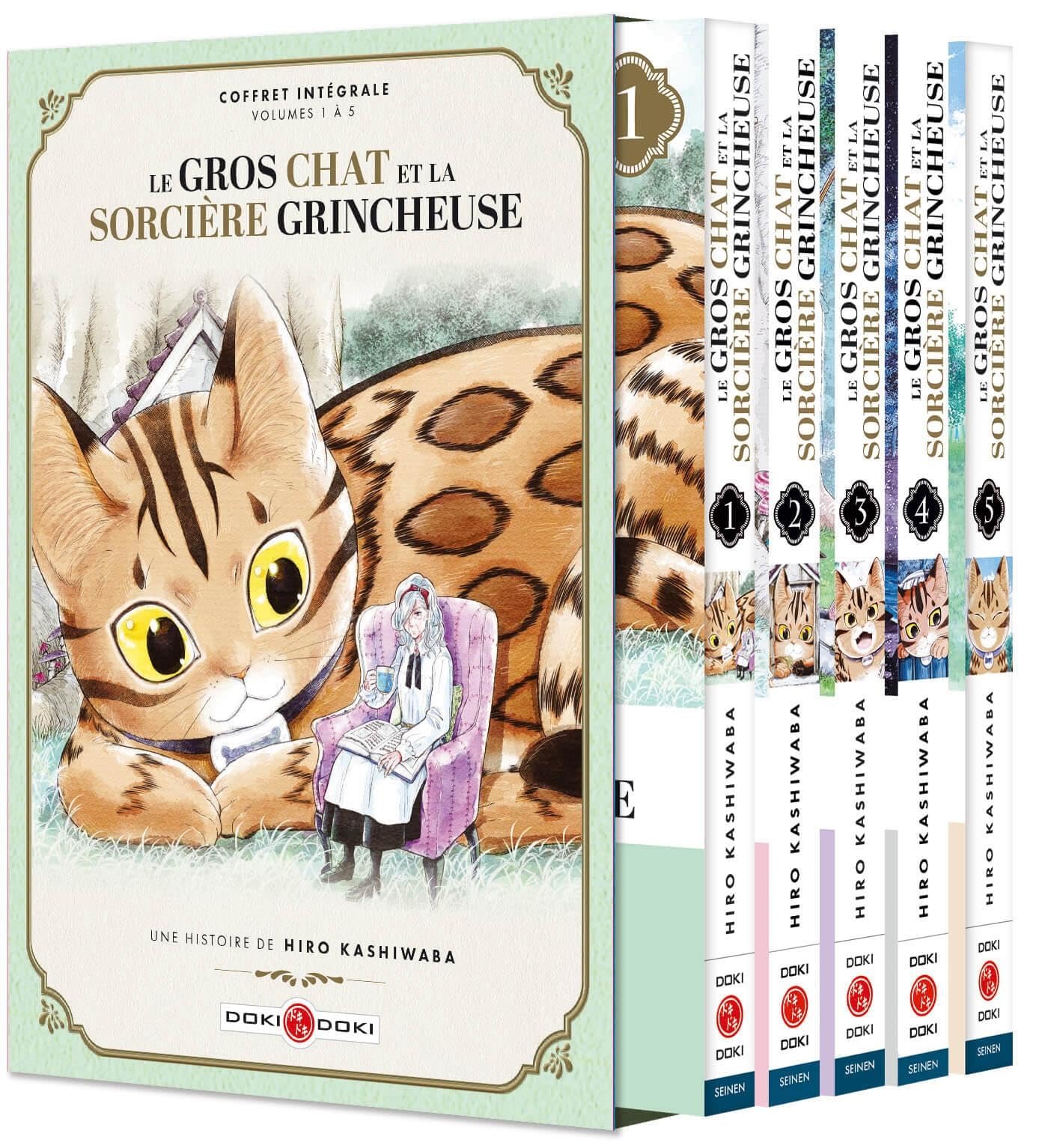 jaquette album Le Gros Chat et la Sorcière grincheuse - coffret vol. 01 à vol.05