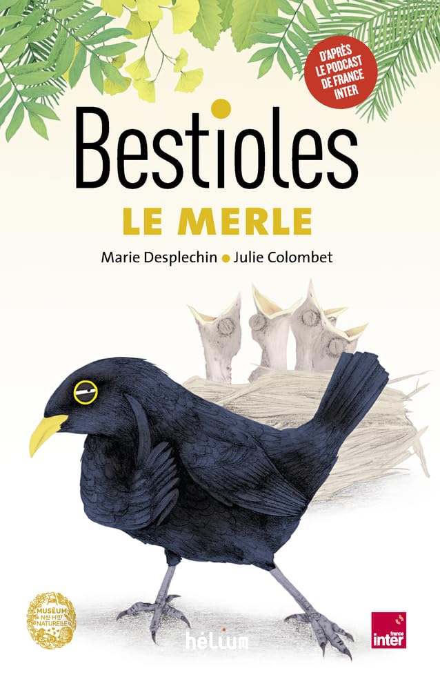 jaquette album Bestioles - Le Merle