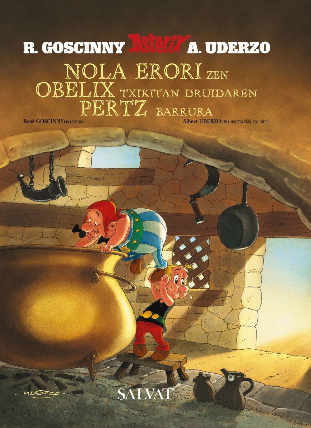 jaquette livre Nola Erori Zen Obelix Txikitan Druidaren Pertz Barrura