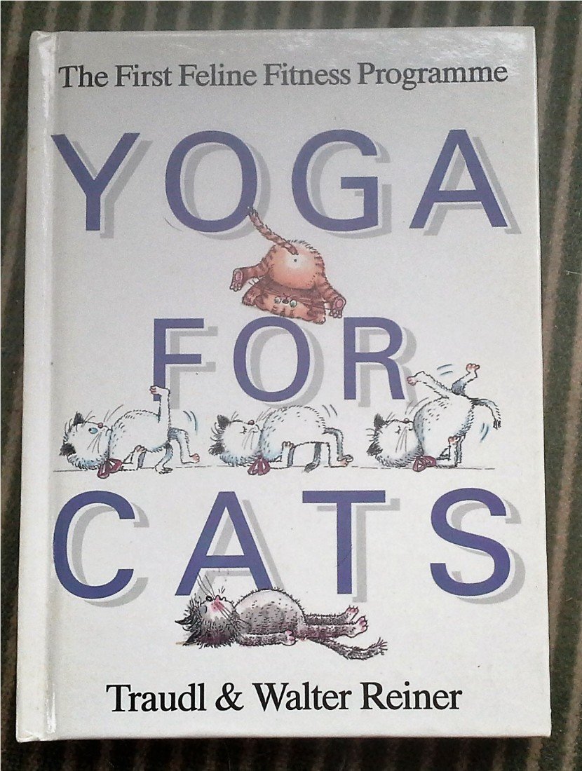 jaquette album Yoga for Cats