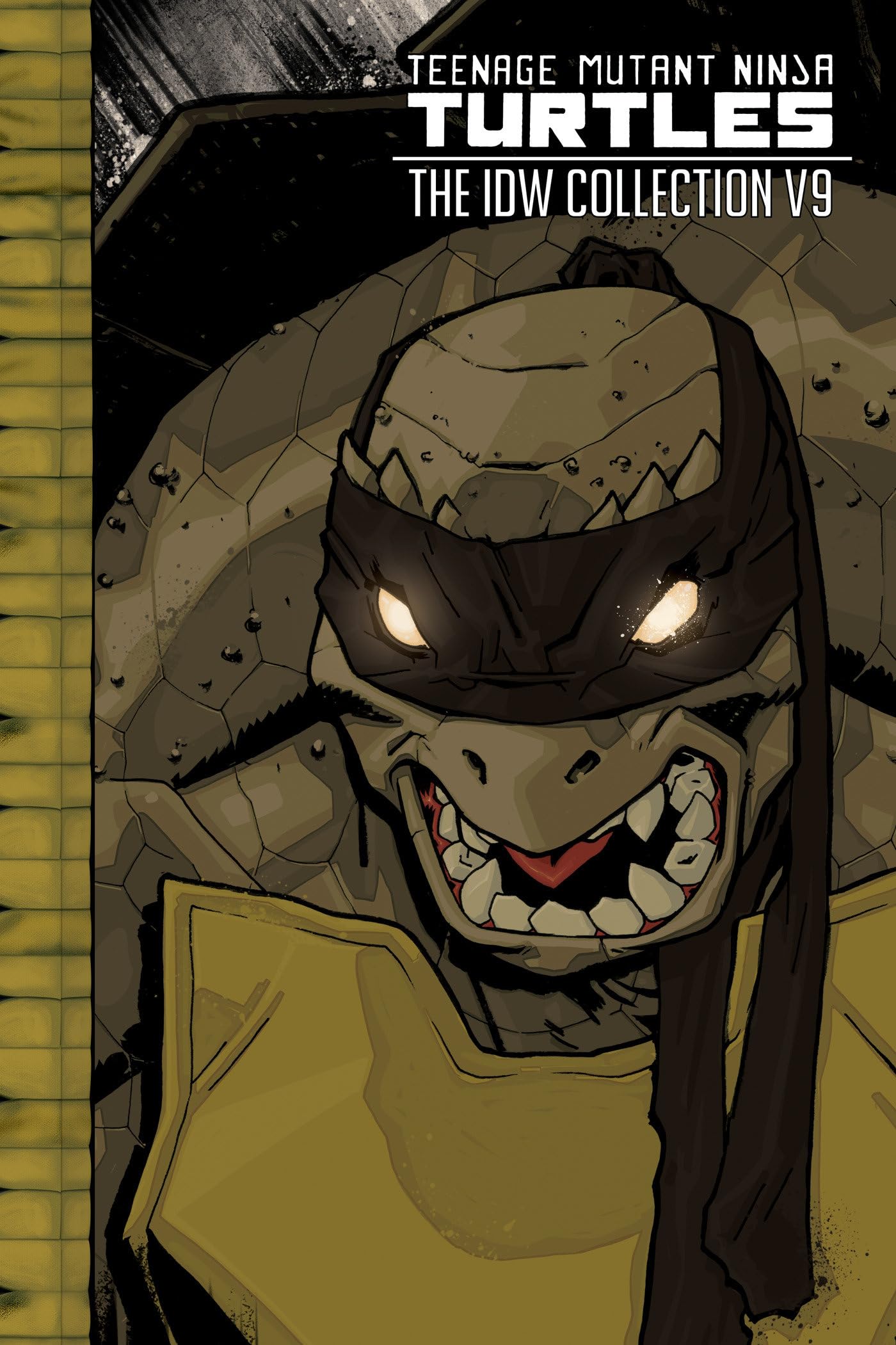 jaquette album Teenage Mutant Ninja Turtles: The IDW Collection Volume 9