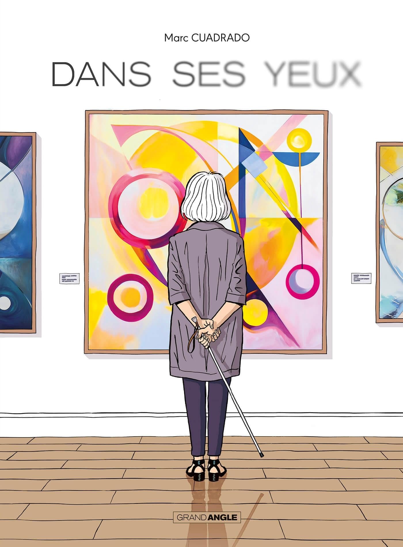jaquette album Dans ses yeux - histoire complète