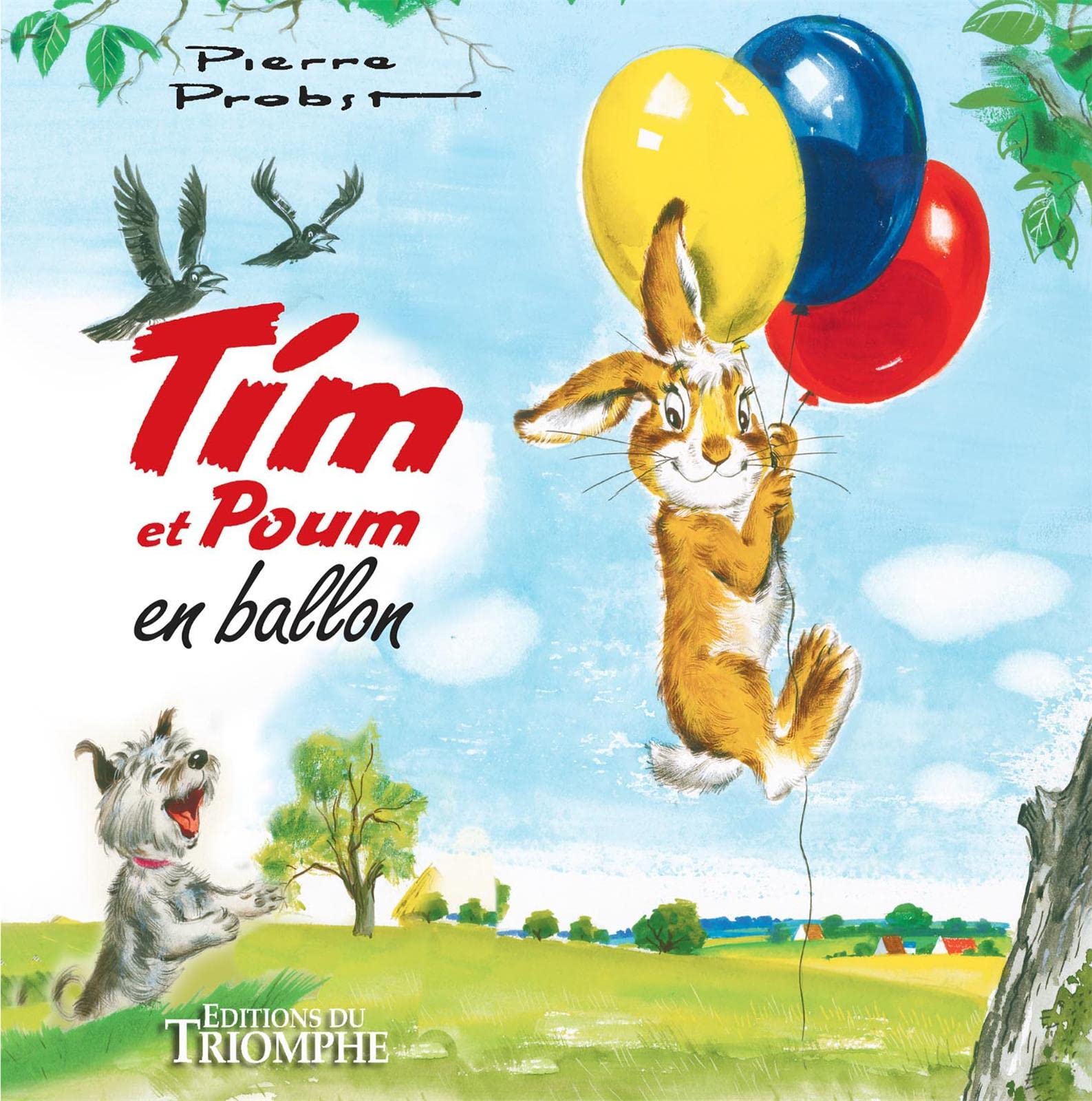 jaquette album Tim et Poum en ballon