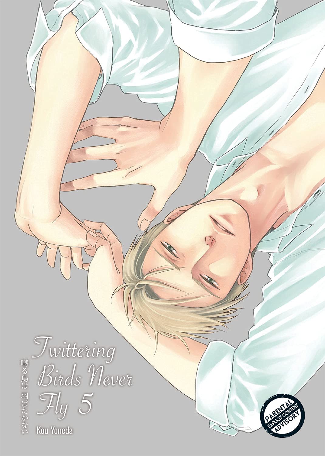 jaquette album Twittering Birds Never Fly vol 5