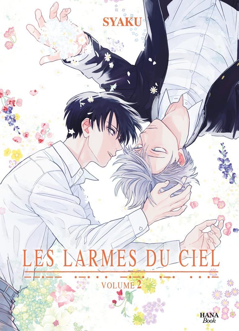 jaquette album Les Larmes du ciel - Tome 2
