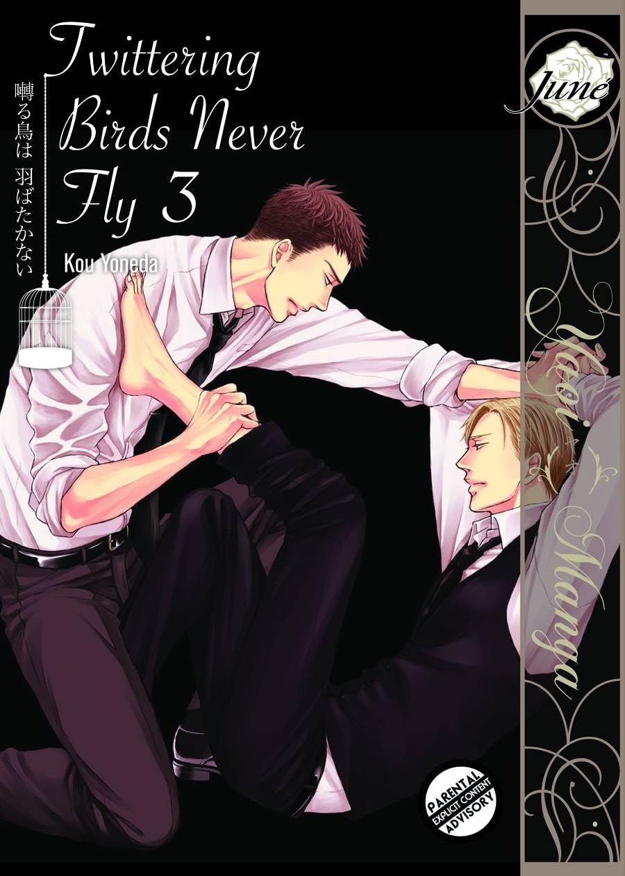 jaquette album TWITTERING BIRDS NEVER FLY GN VOL 03