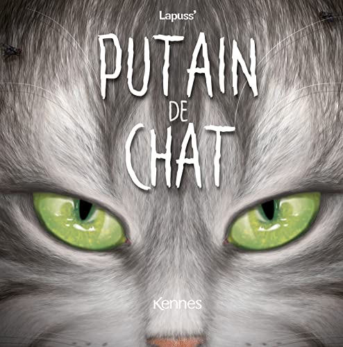 jaquette album Putain De Chat Tome 11