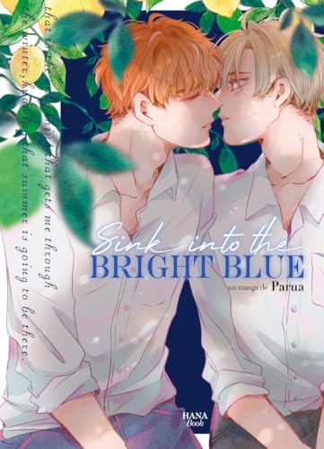 jaquette album Sink into the Bright Blue