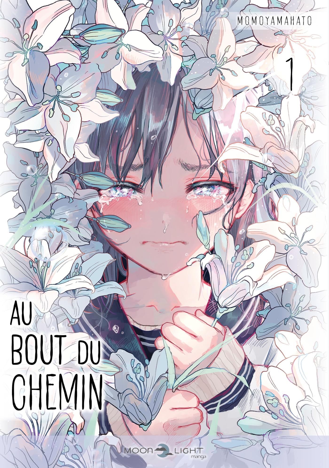jaquette album Au bout du chemin T01