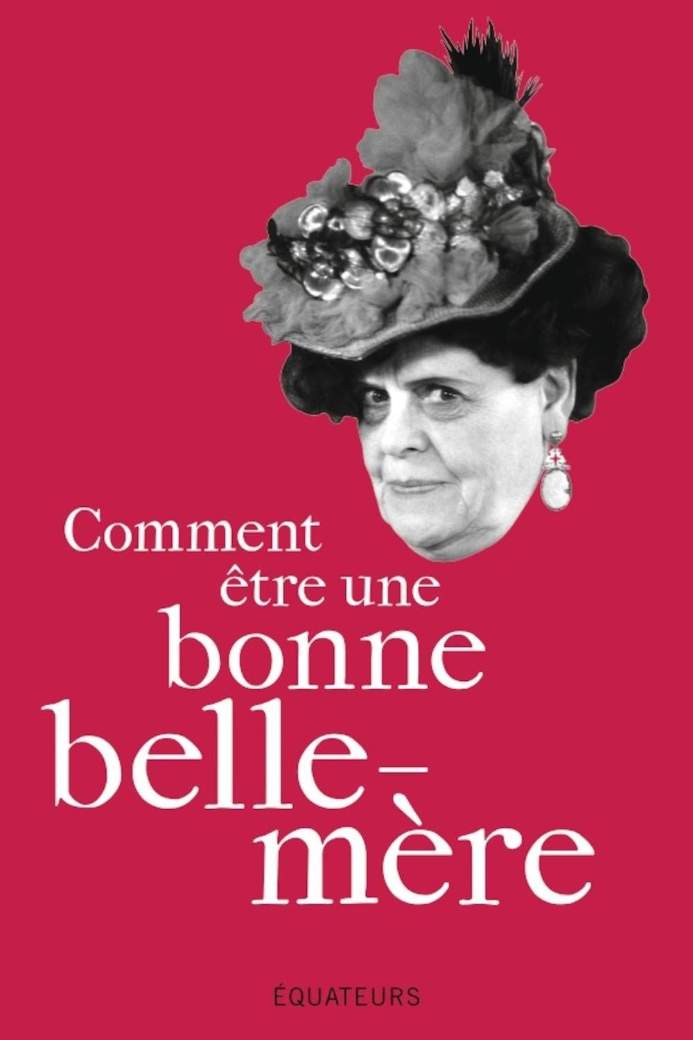 jaquette album Comment être une bonne belle-mère
