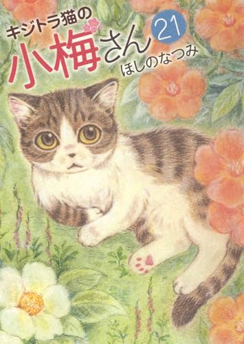 jaquette album Plum - un amour de chat - Tome 21