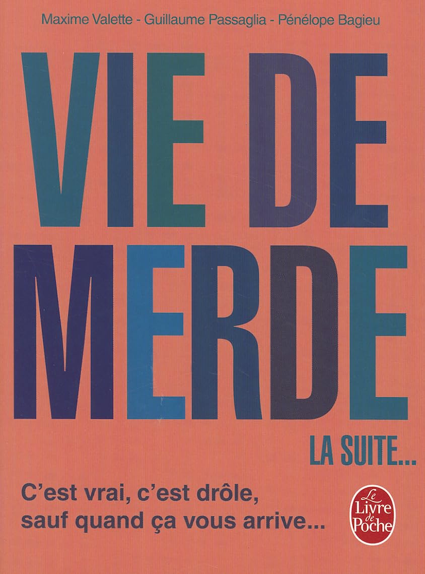 jaquette album Vie de merde 2