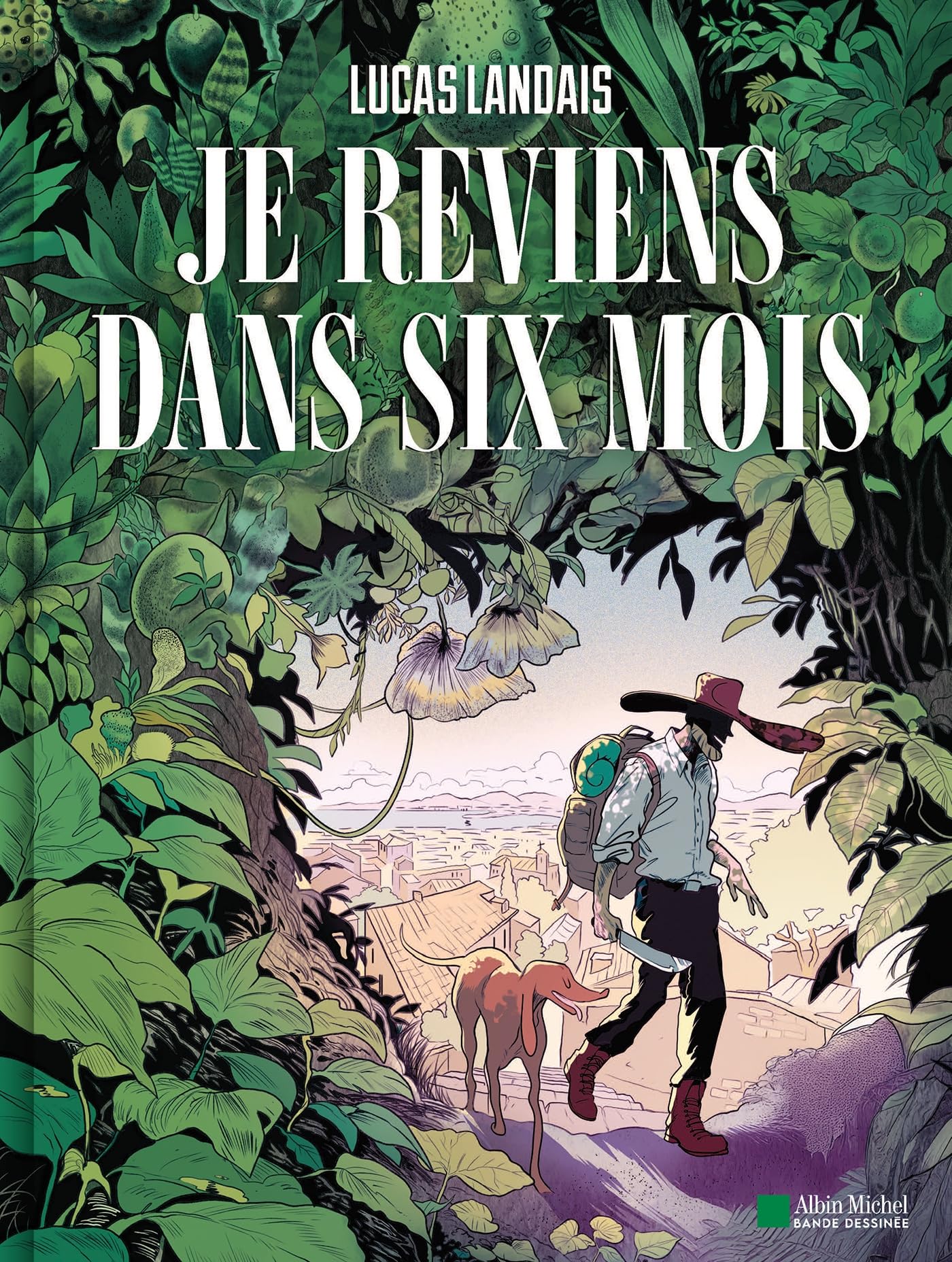 jaquette album Je reviens dans six mois