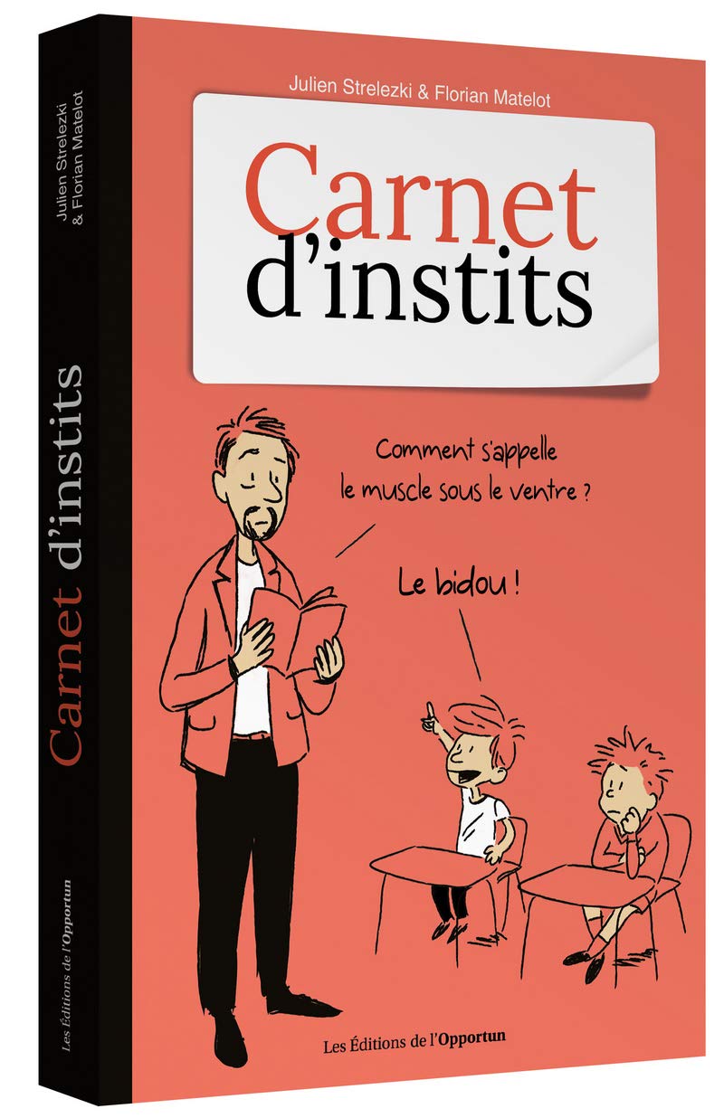 jaquette album Carnet d'instits