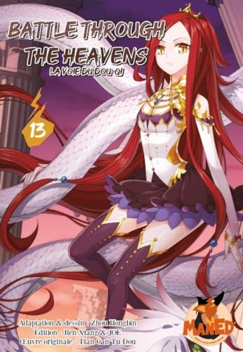 jaquette album Battle Through The Heavens - BTTH - Tome 13