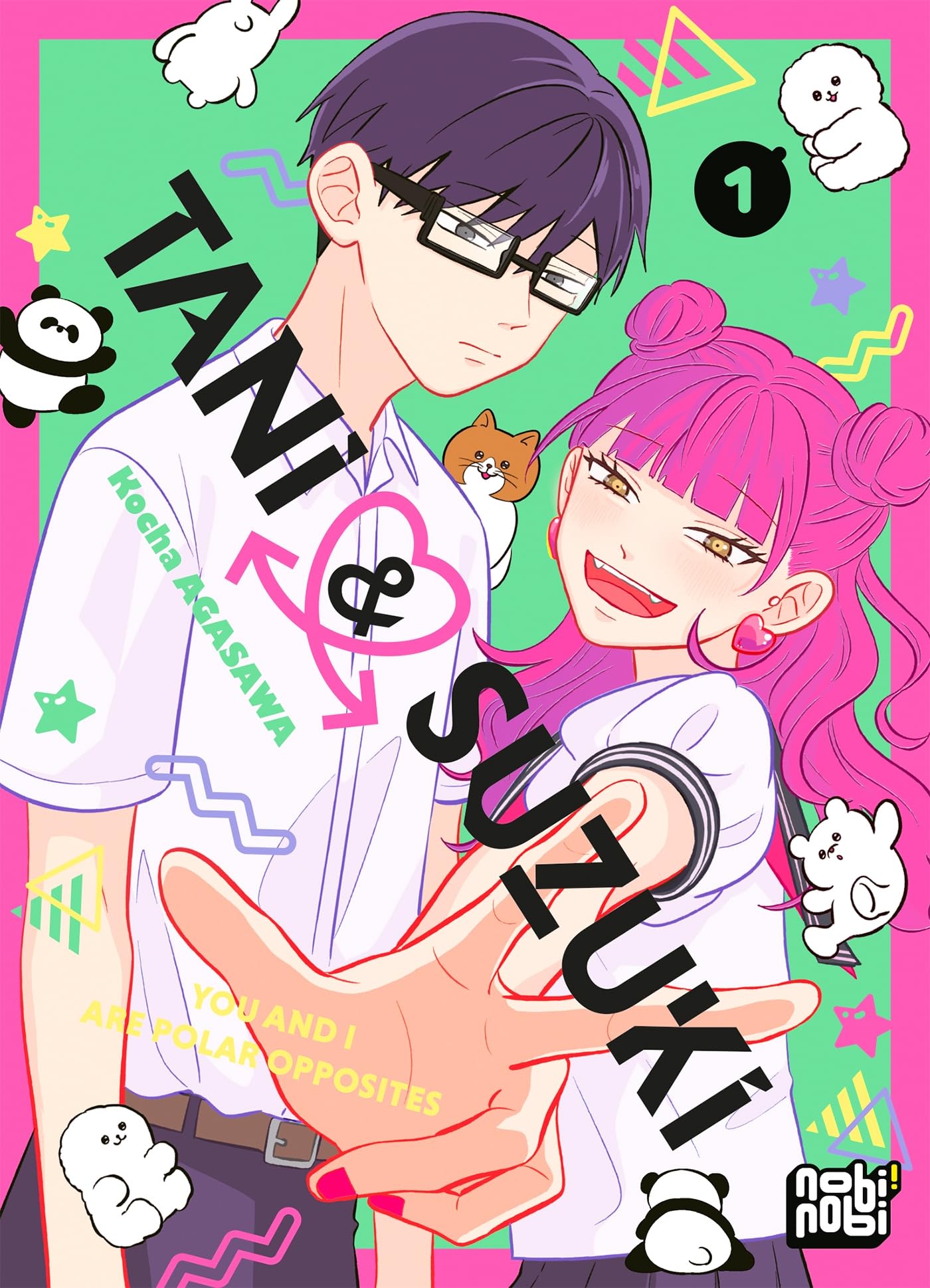 jaquette album Tani & Suzuki - You and I are polar opposites T01