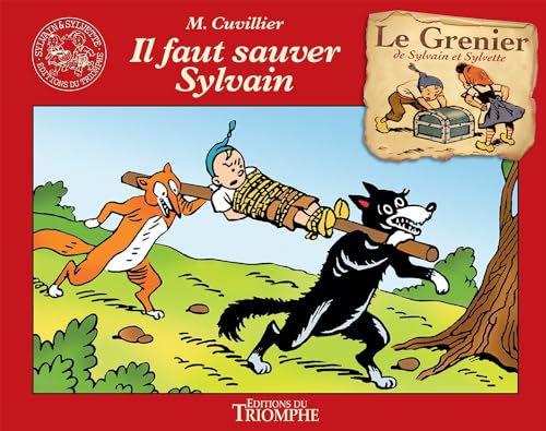 jaquette livre Il Faut Sauver Sylvain