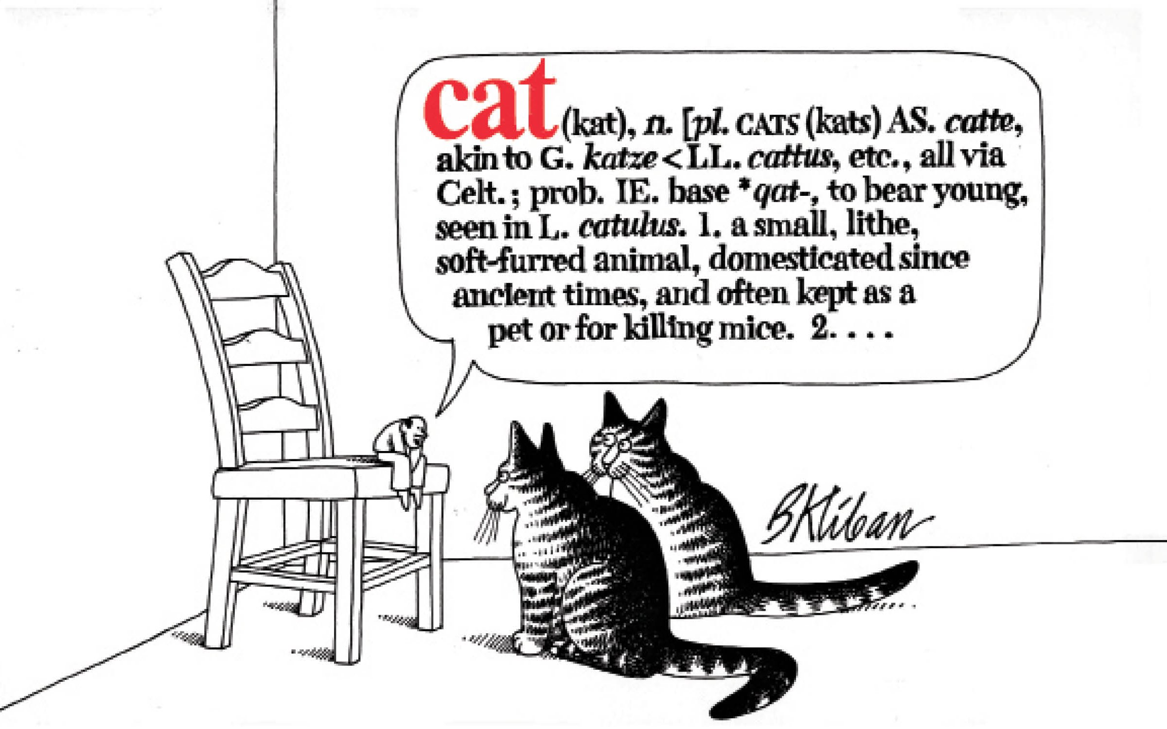 jaquette livre Cat