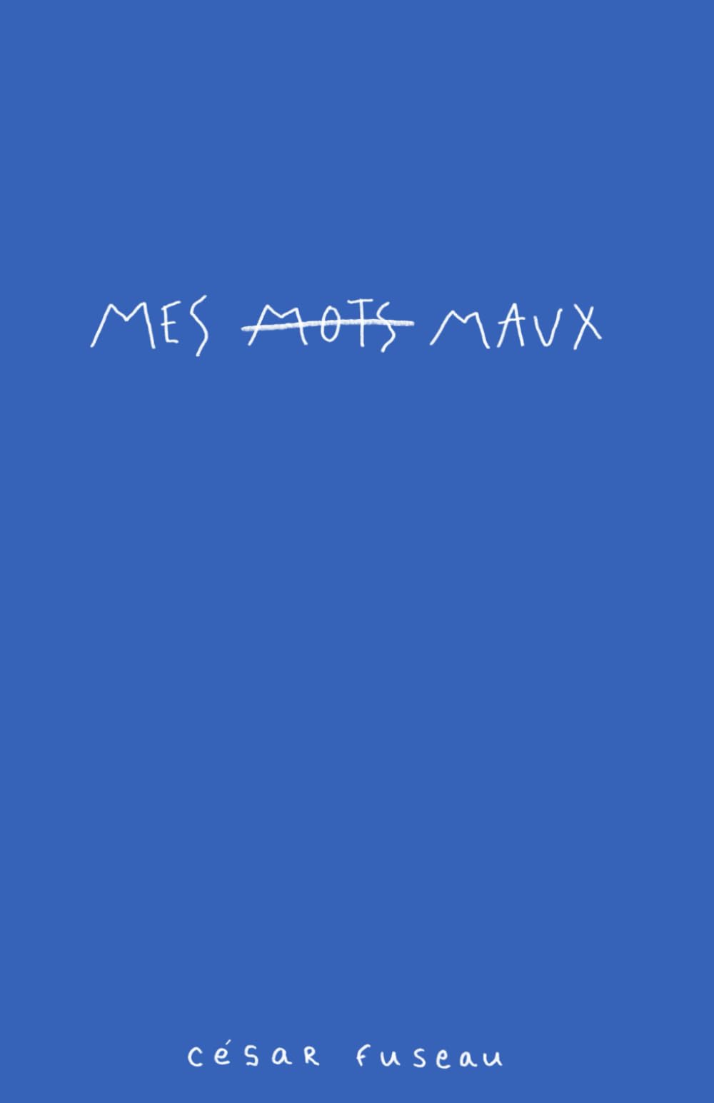 jaquette album Mes maux