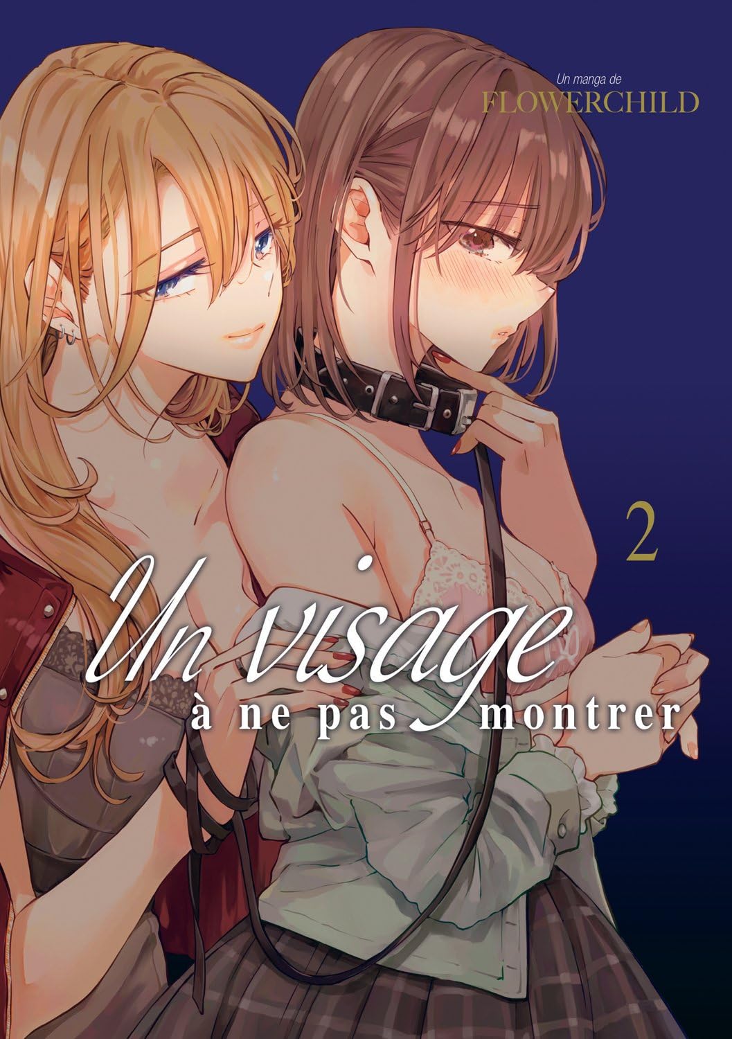 jaquette album Un visage à ne pas montrer - Tome 02