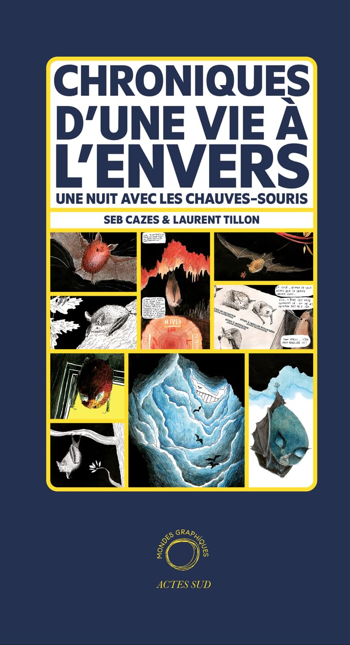 jaquette album Chroniques d'une vie à l'envers: Une nuit avec les chauves-souris