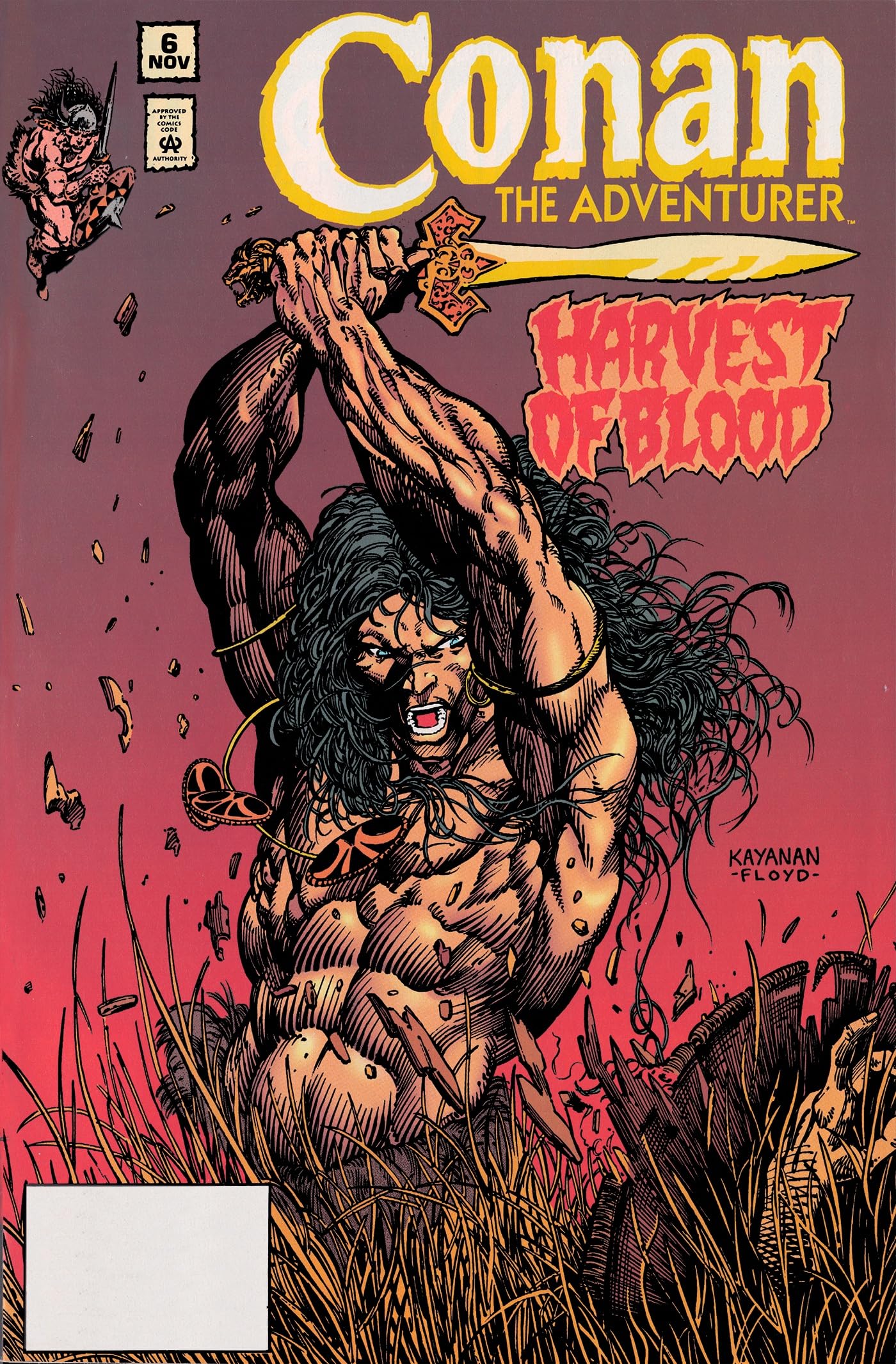 jaquette album Conan the Barbarian Omnibus 1: Conan the Adventurer: the Original Comics Years Omnibus