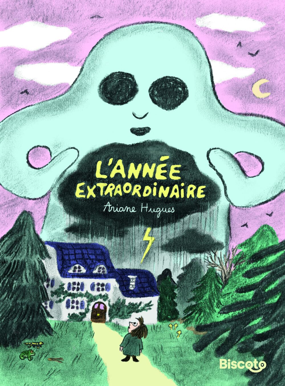 jaquette album L'année extraordinaire