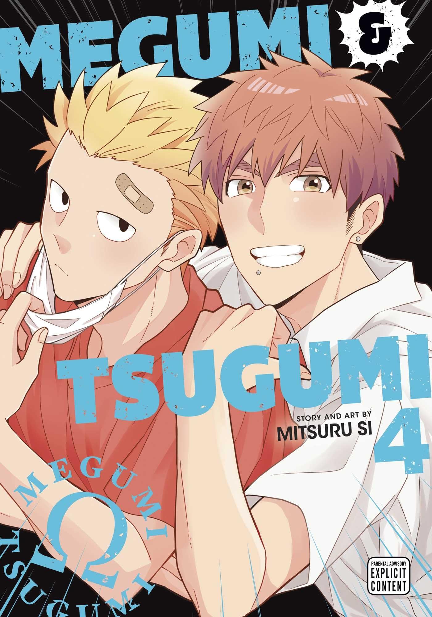 jaquette album Megumi & Tsugumi, Vol. 4