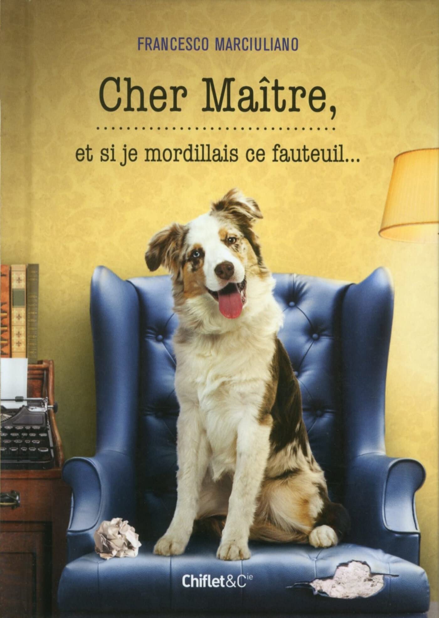jaquette album Cher Maître, et si je mordillais ce fauteuil