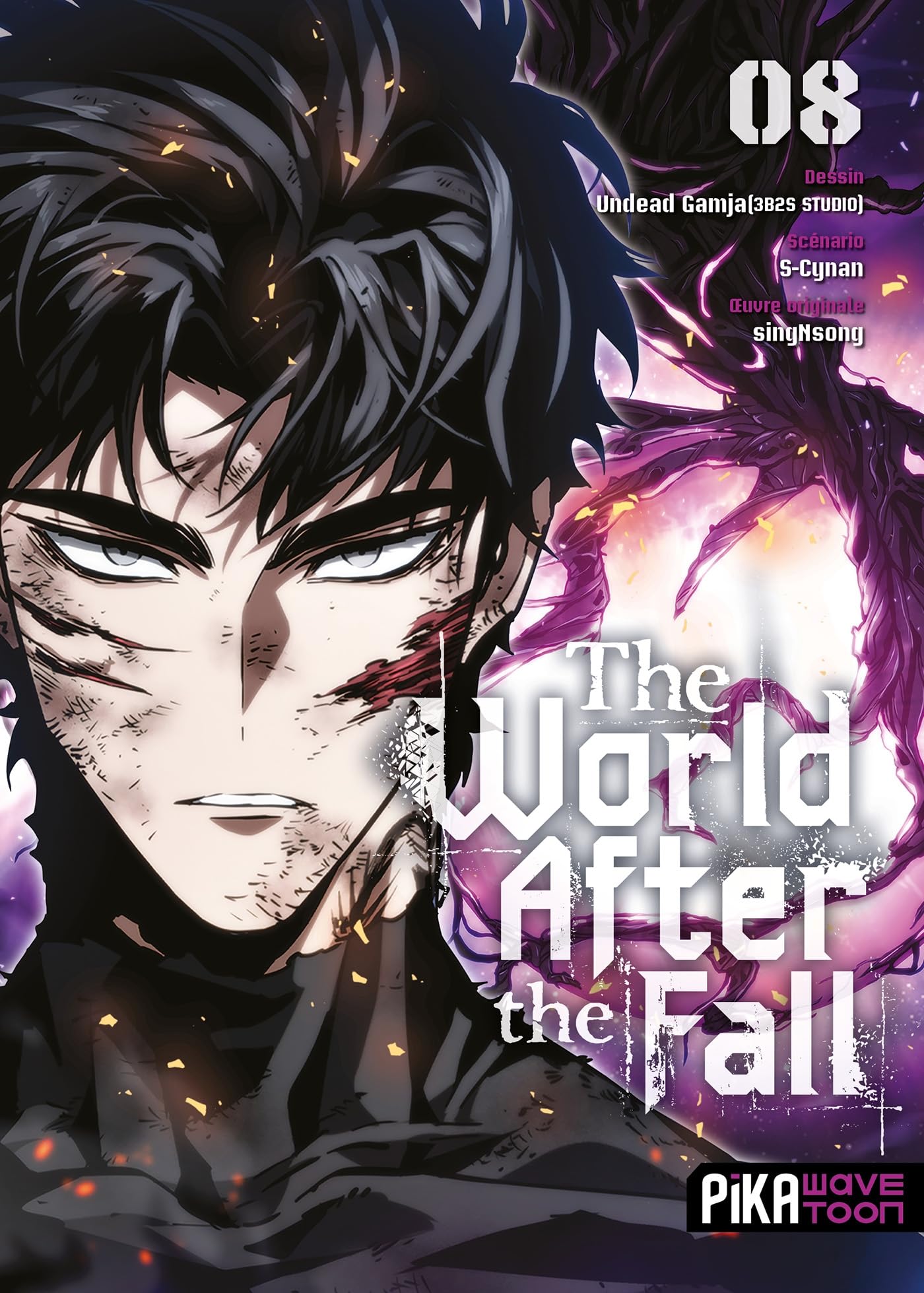 jaquette album The World After The Fall T08