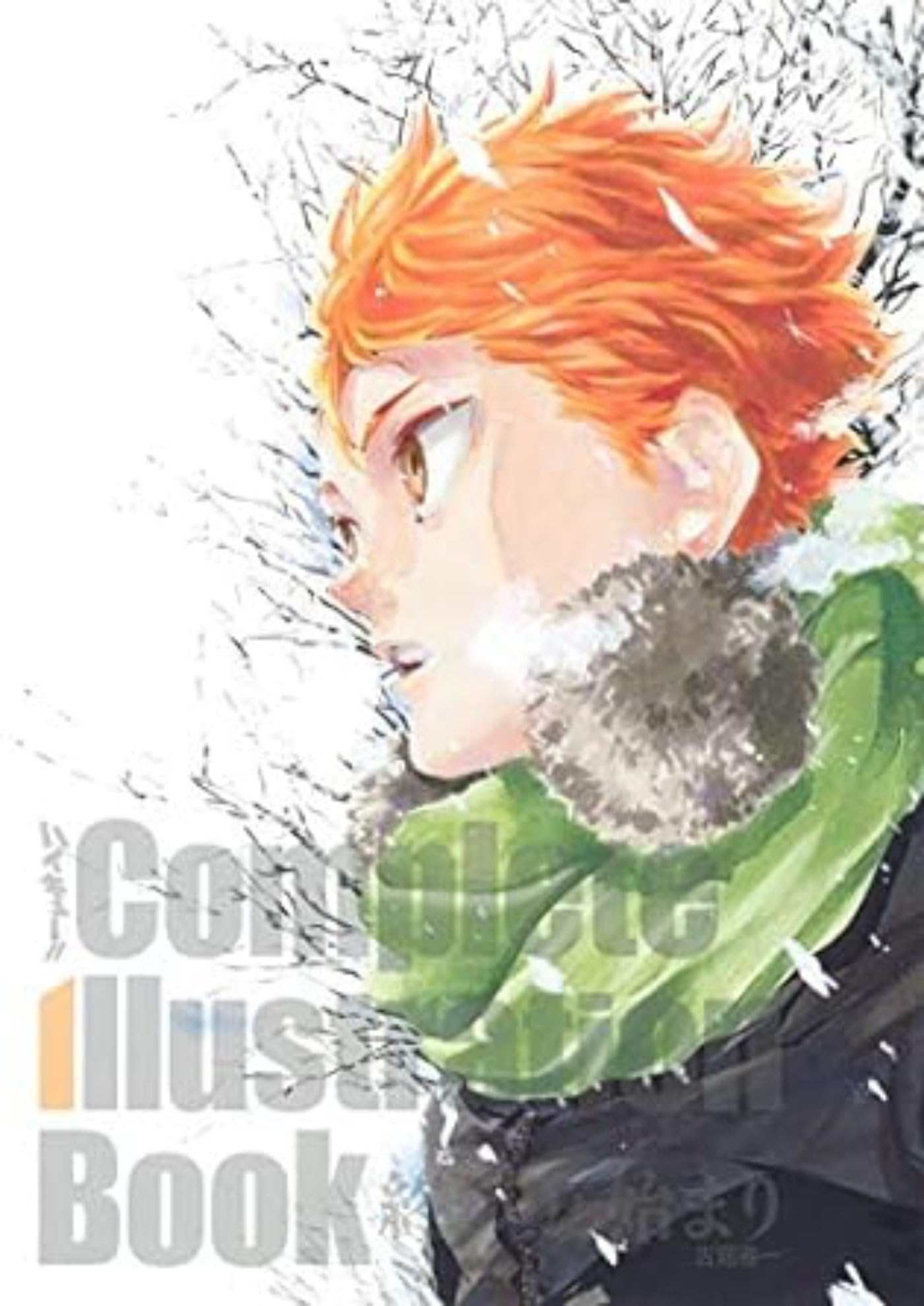 jaquette album HAIKYU COMPLETE ILLUSTRATIONS ARTBOOK