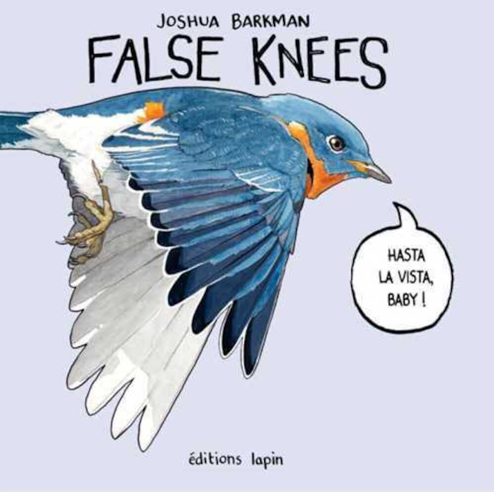 jaquette album Falseknees