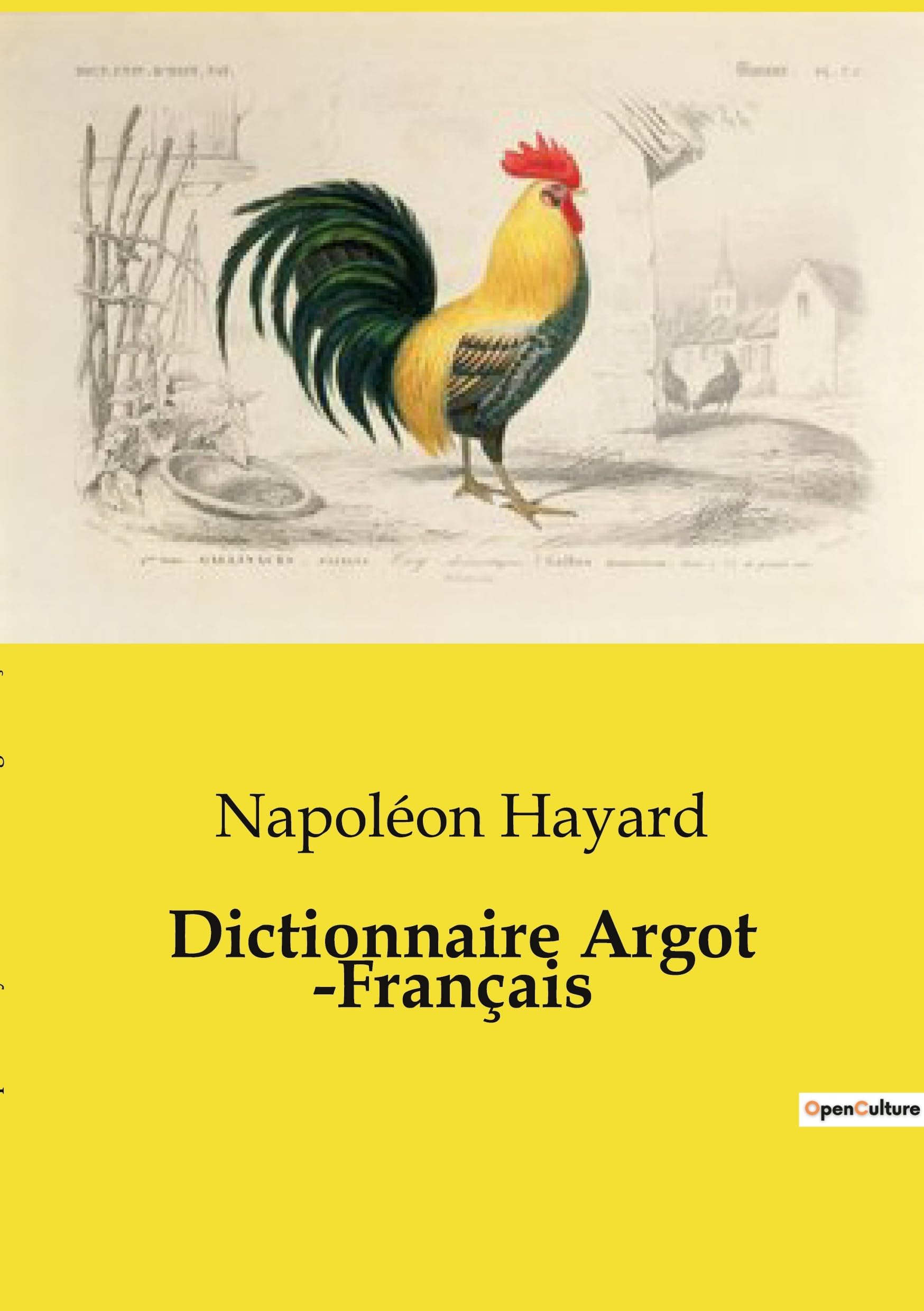 jaquette album Dictionnaire Argot ­Français