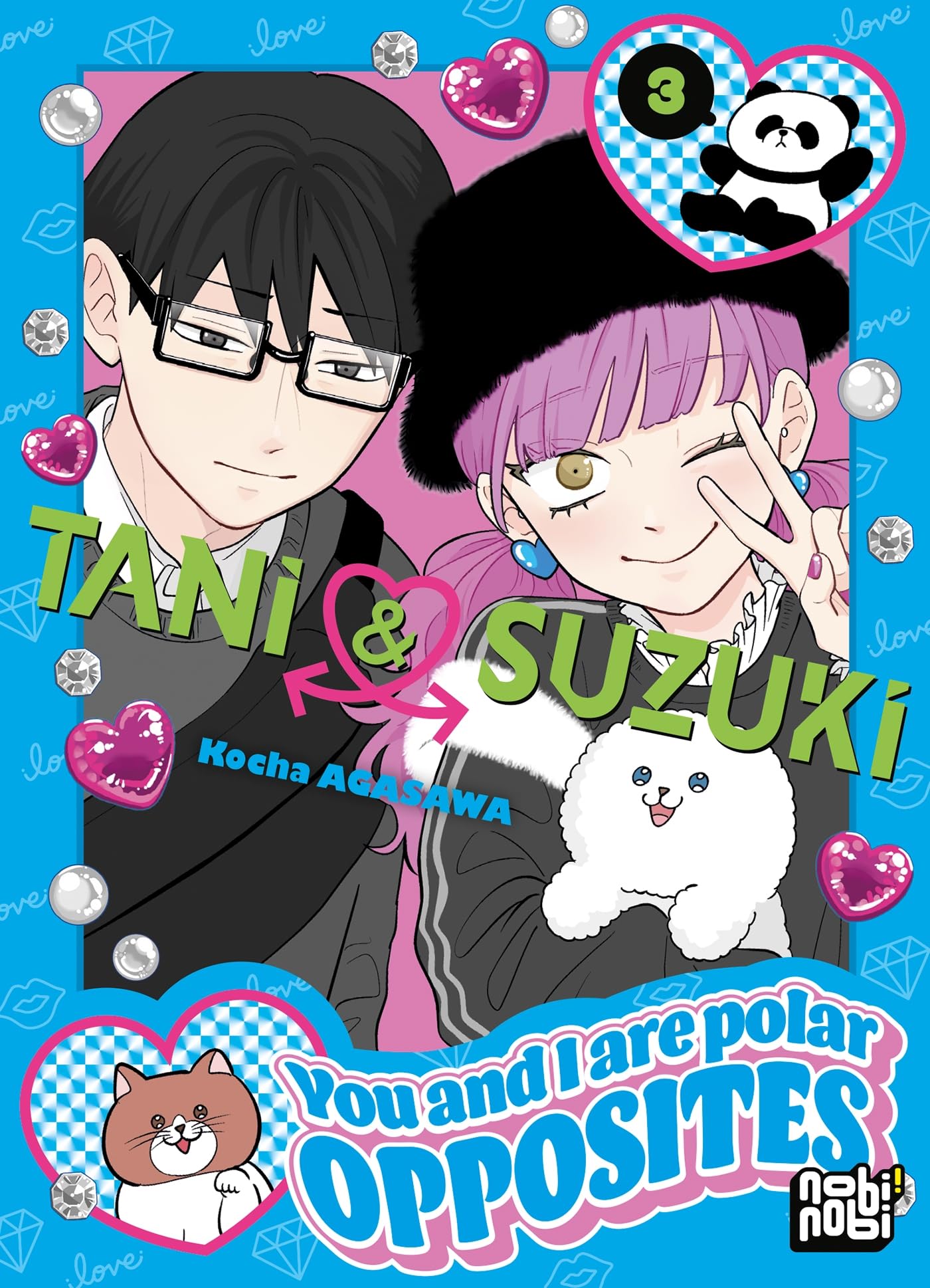 jaquette album Tani & Suzuki - You and I are polar opposites T03