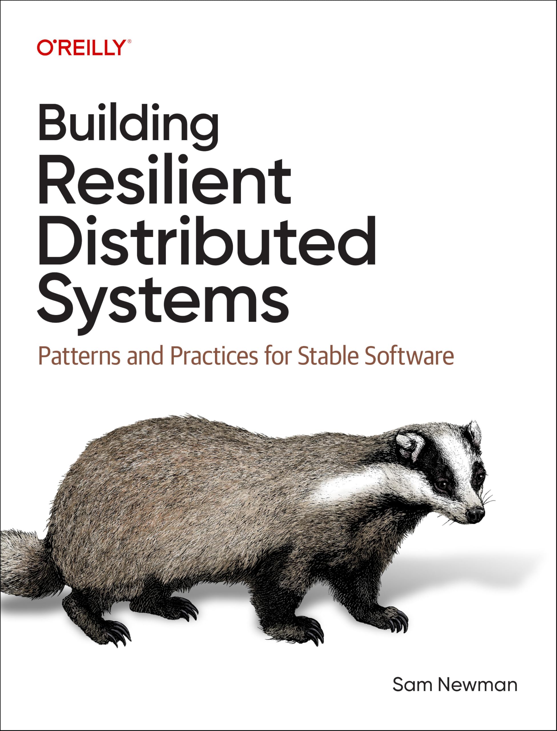 jaquette album Building Resilient Distributed Systems: Patterns and Practices for Stable Software