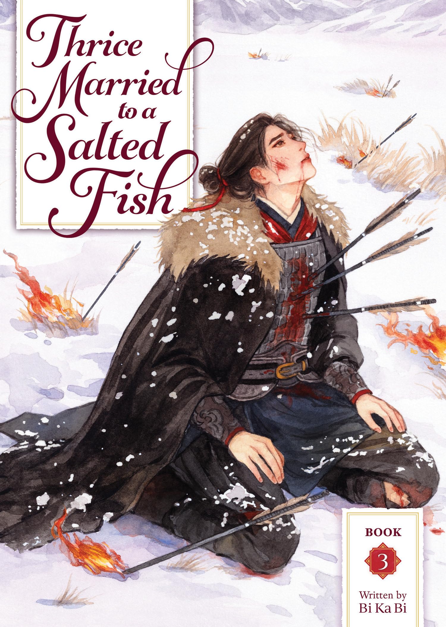jaquette livre Thrice Married to a Salted Fish (Novel) Vol. 3