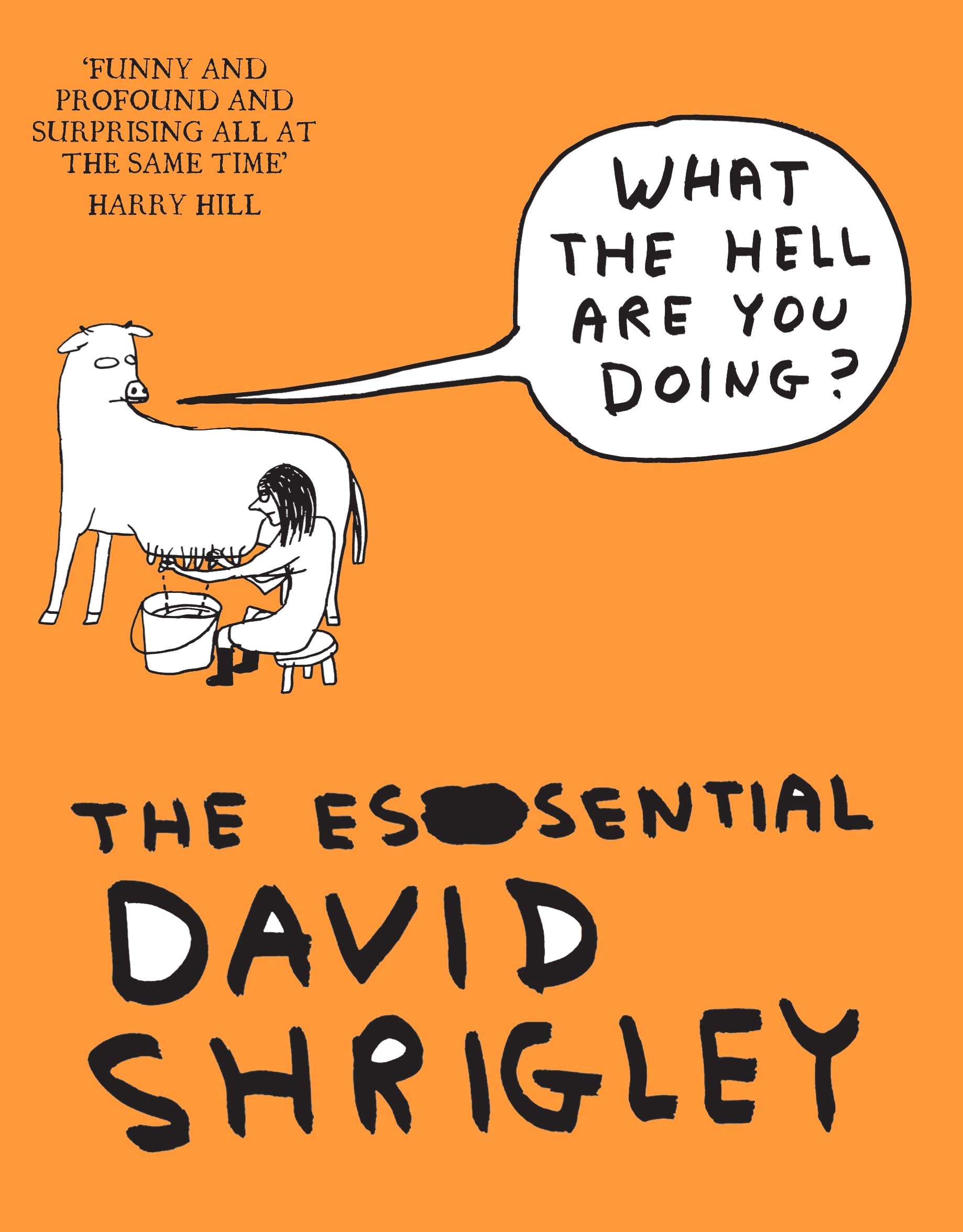 jaquette album What The Hell Are You Doing?: The Essential David Shrigley