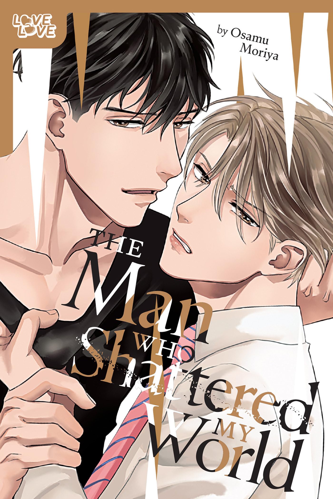jaquette album The Man Who Shattered My World