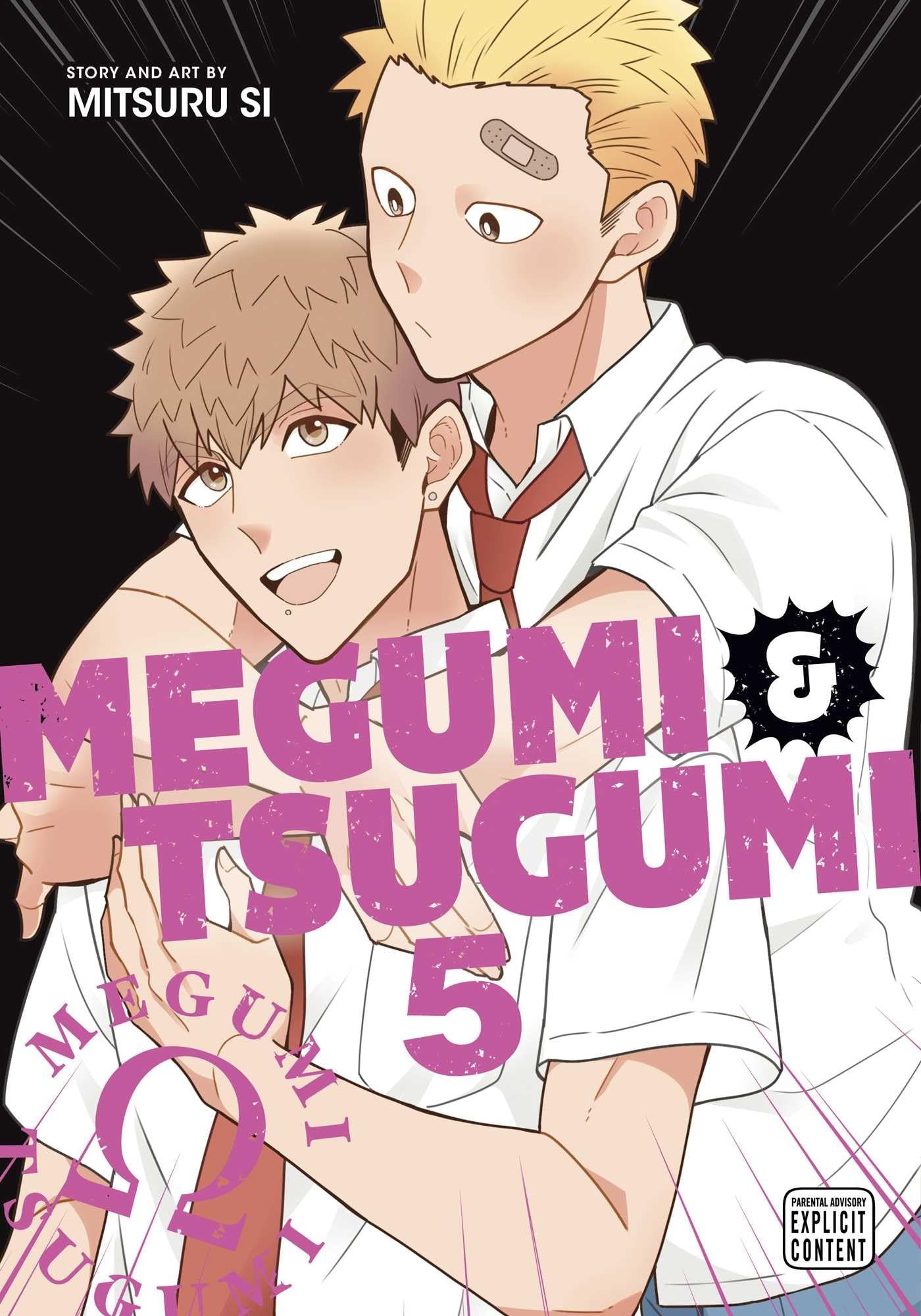 jaquette album Megumi & Tsugumi, Vol. 5