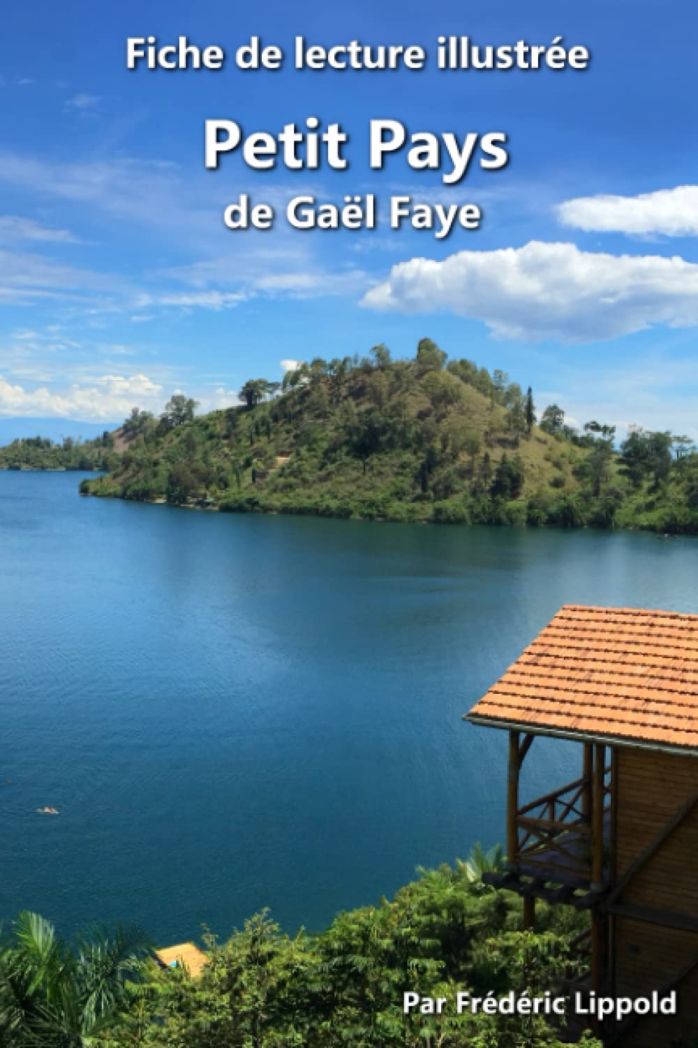 jaquette album Fiche de lecture illustrée - Petit Pays, de Gaël Faye: Résumé et analyse détaillée de l'œuvre