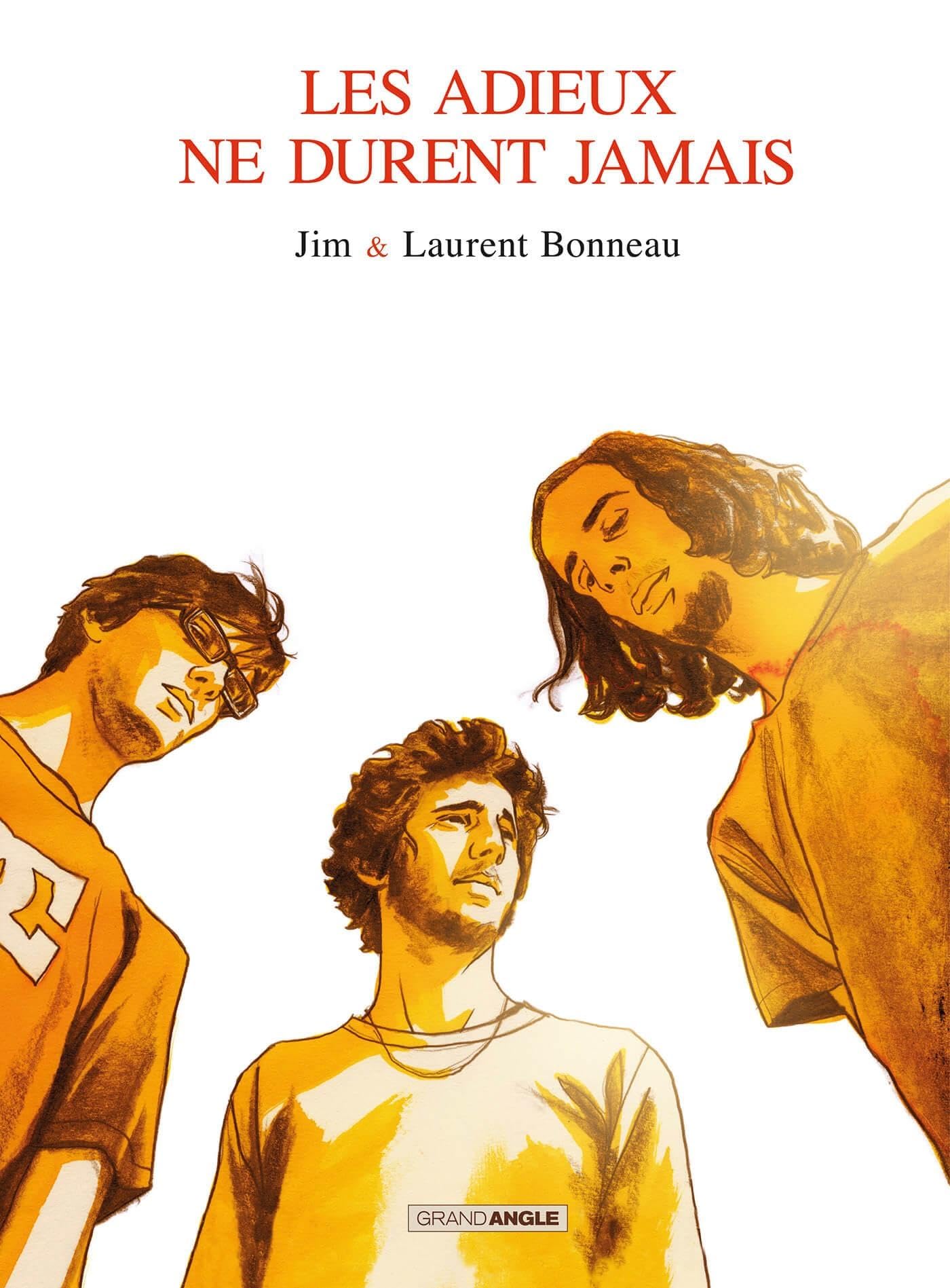 jaquette album Les Adieux ne durent jamais - histoire complète