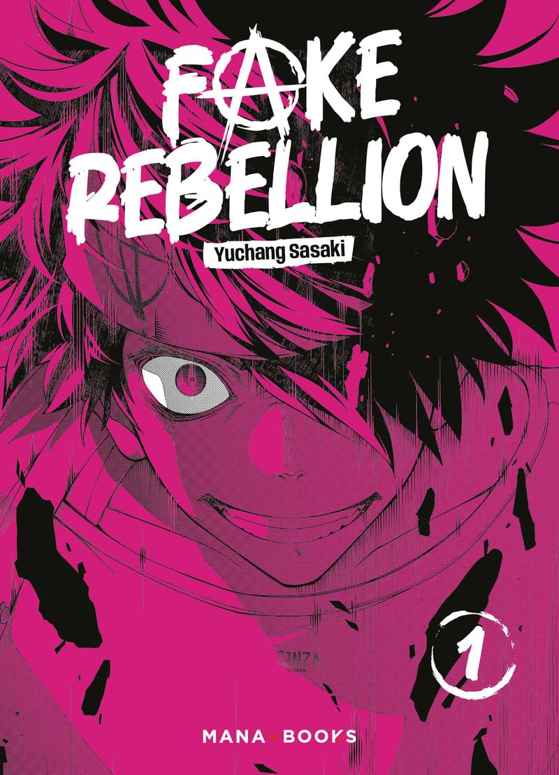 jaquette album Fake Rebellion T01 (1)