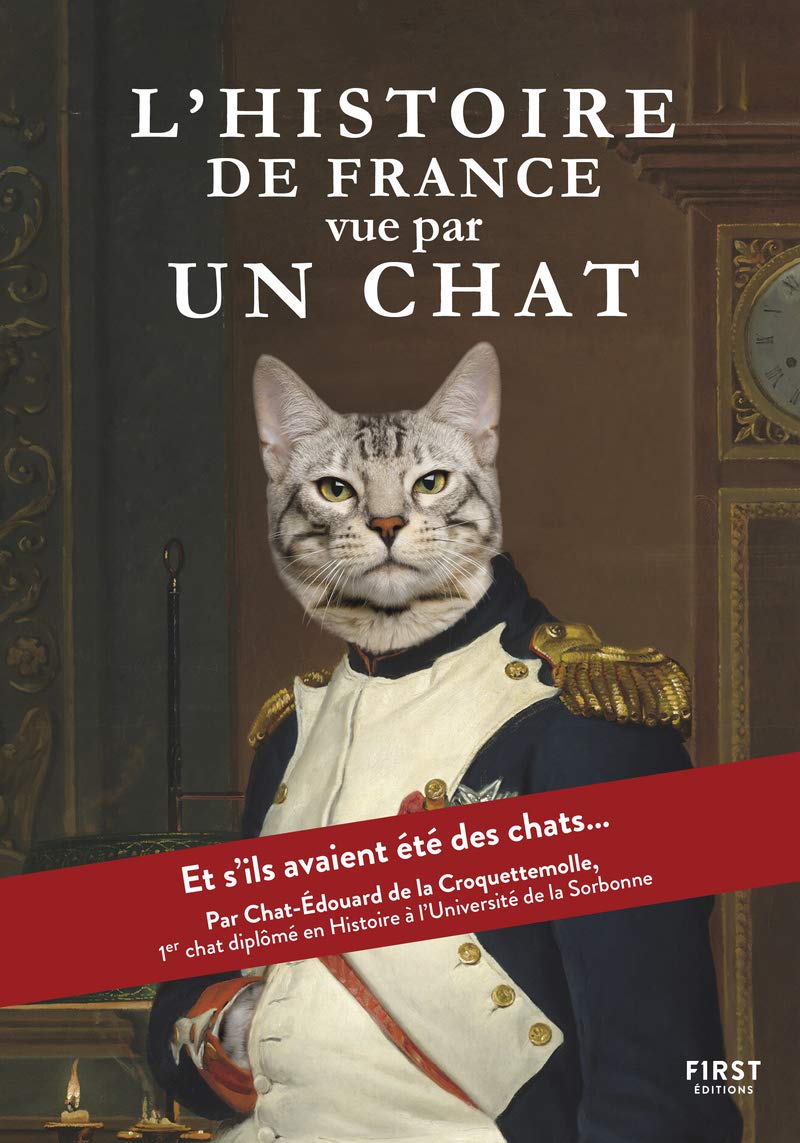 jaquette album L'Histoire de France vue par un chat - et si les Gaulois, Charlemagne, Napoléon ou encore notre président actuel avaient été des chats ?: Un manuel ... française d'un point de vue félin !