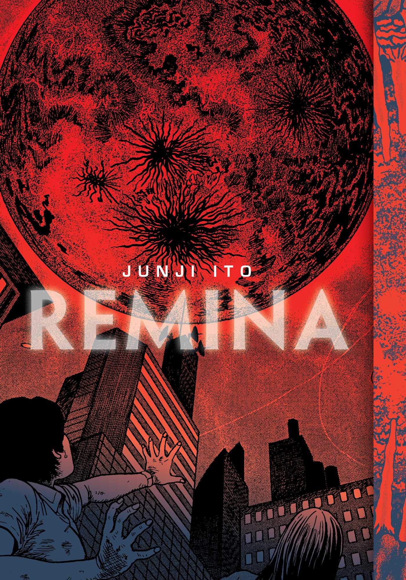 jaquette album Remina