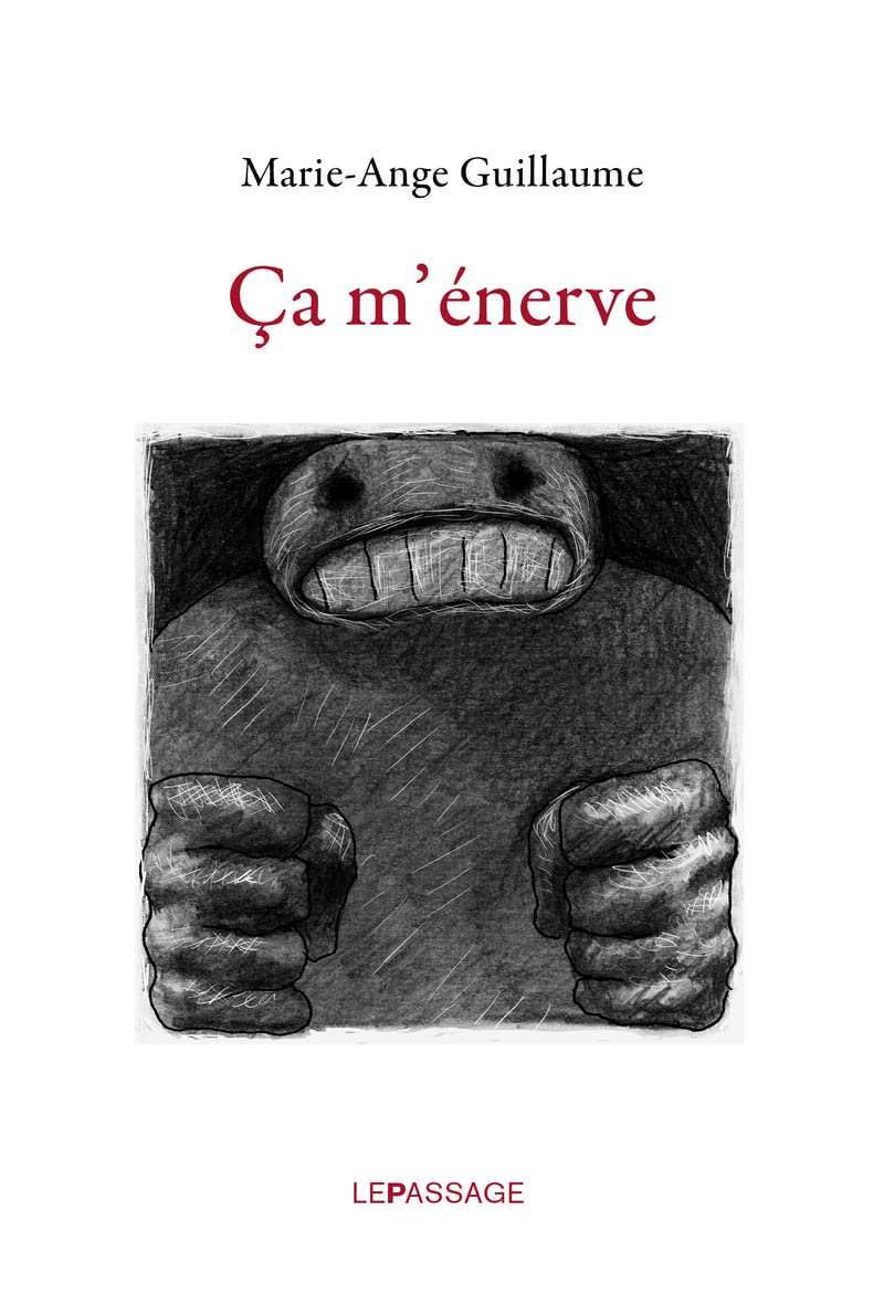 jaquette album Ca m'énerve