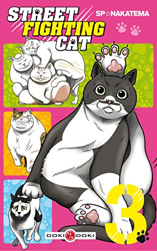 jaquette album Street Fighting Cat - Tome 3