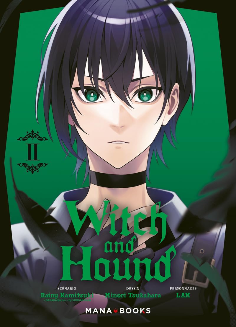 jaquette album Witch and Hound T02
