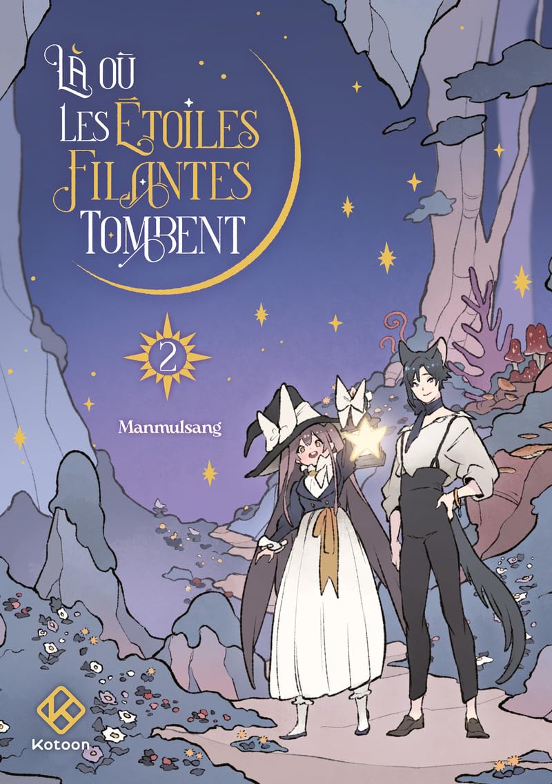 jaquette album Là où les étoiles filantes tombent - tome 2