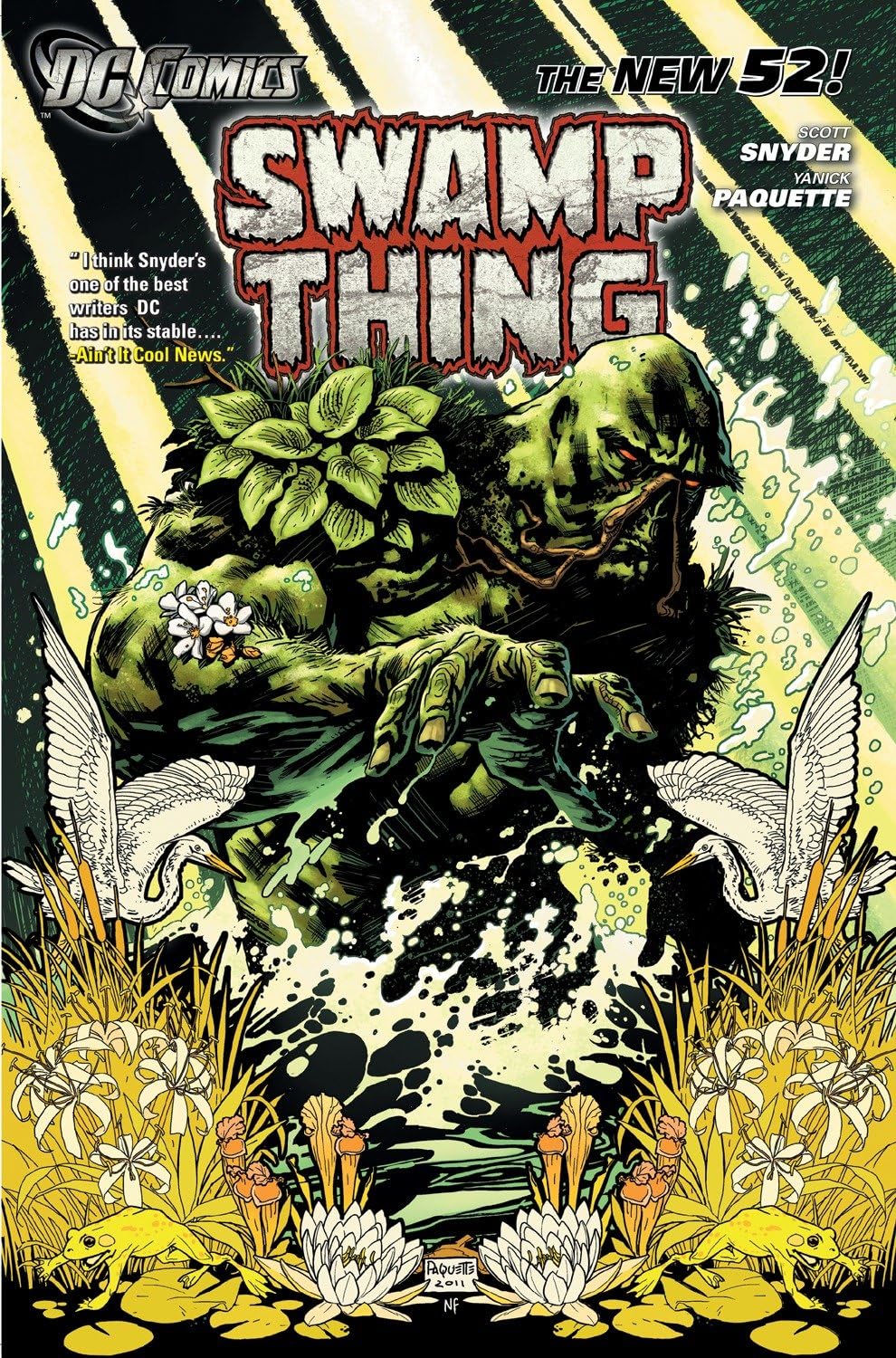 jaquette album Swamp Thing Vol. 1: Raise Them Bones (The New 52)