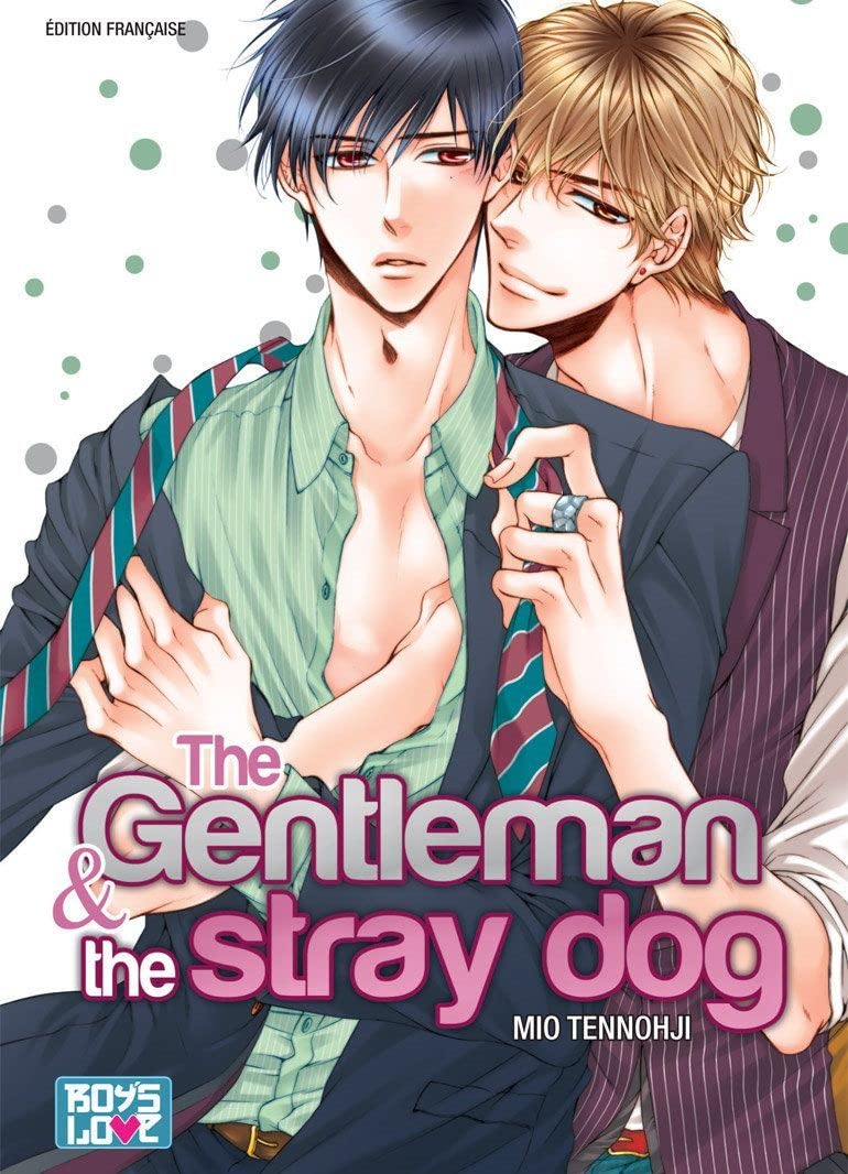 jaquette album The gentleman and the stray dog